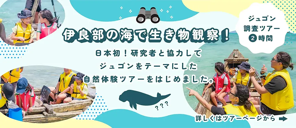 伊良部の海で生き物観察！ジュゴン調査ツアー2時間 日本初！研究者と協力してジュゴンをテーマにした体験ツアーをはじめました。詳しくはツアーページから