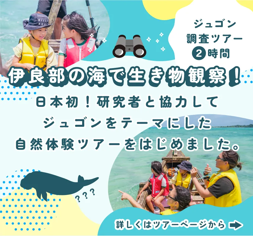 伊良部の海で生き物観察！ジュゴン調査ツアー2時間 日本初！研究者と協力してジュゴンをテーマにした体験ツアーをはじめました。詳しくはツアーページから